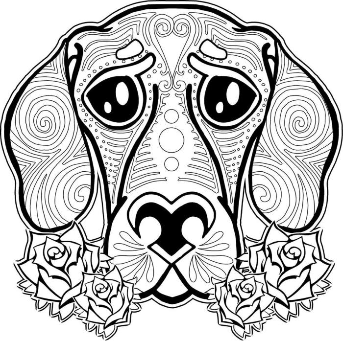 Animal coloring pages online for free