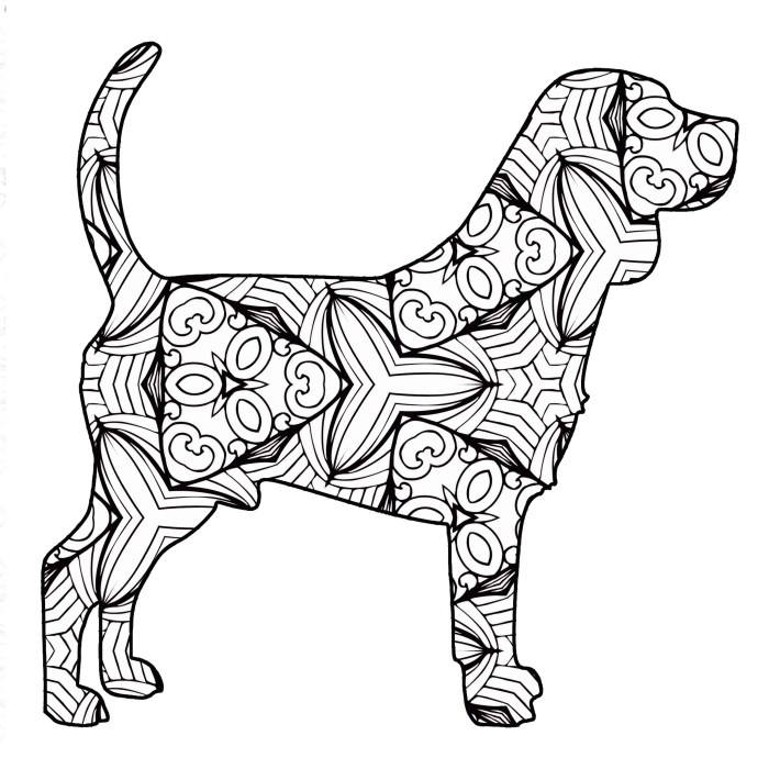 Free coloring sheet animals