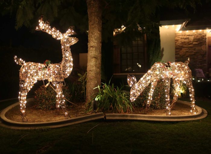 Christmas lawn decor ideas