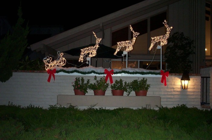 Christmas lawn decor ideas