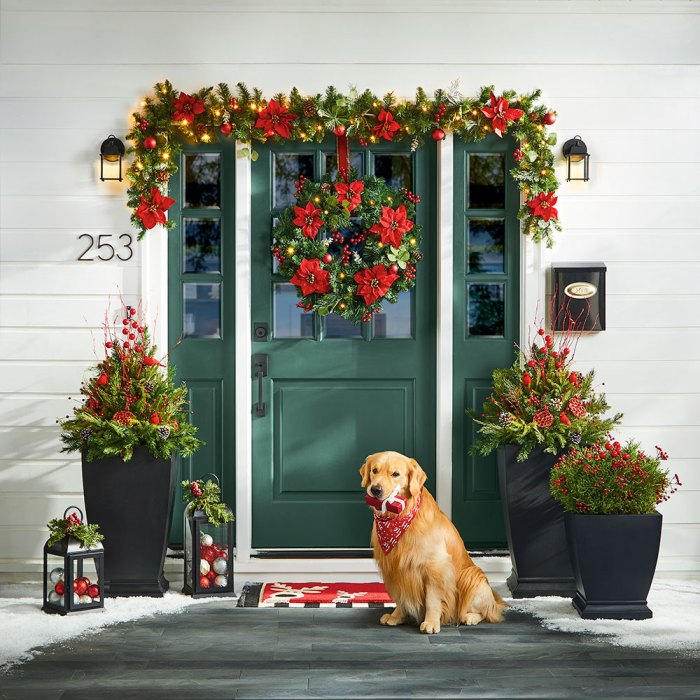 Front door christmas decor