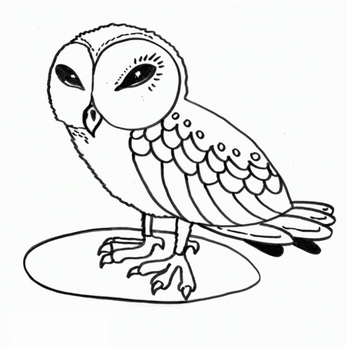 Free coloring pages of animals owl