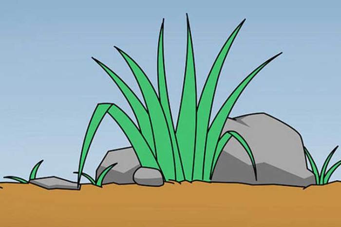 How to indian grass easy drawing