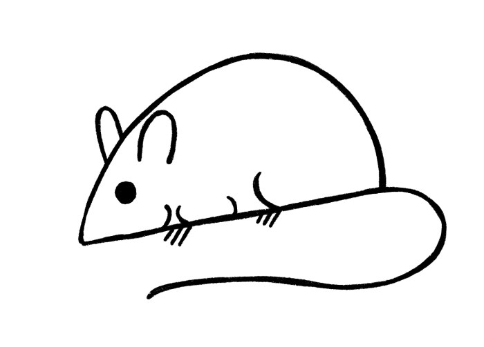 Easy drawing of a mice