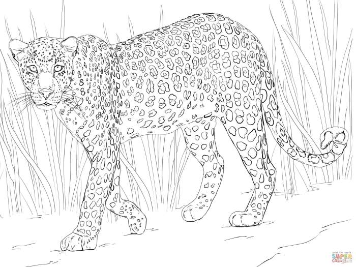 African game animals coloring pages