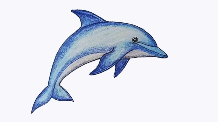 Drawing dolphin dolphins easy realistic draw step fish jumping animals sea drawings getdrawings paintingvalley