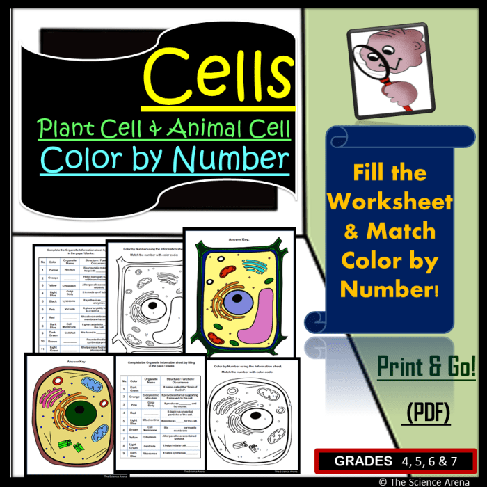 Plant and animal cell coloring worksheet