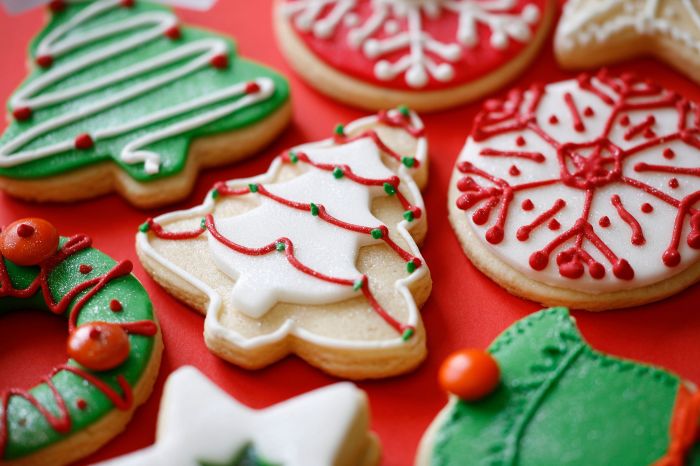 Christmas cookie decor ideas