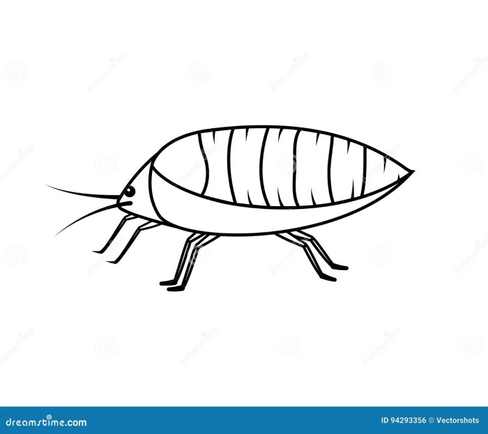 Easy drawing of an aphid