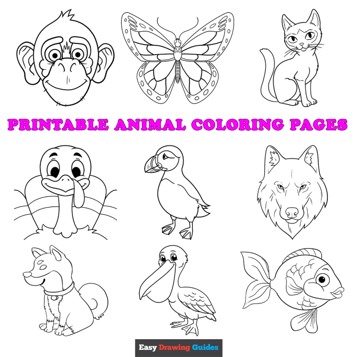 Images for coloring animals