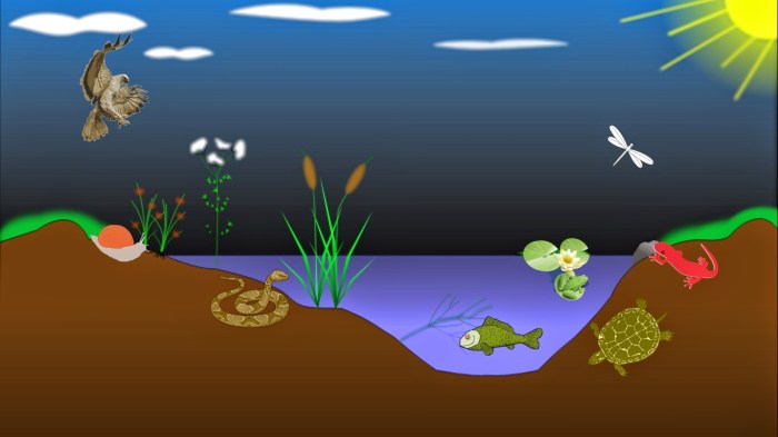 Lakes great ecosystem ecosystems system environment aquatic natural fish systems different organisms inputs diagram eco animals types their into species