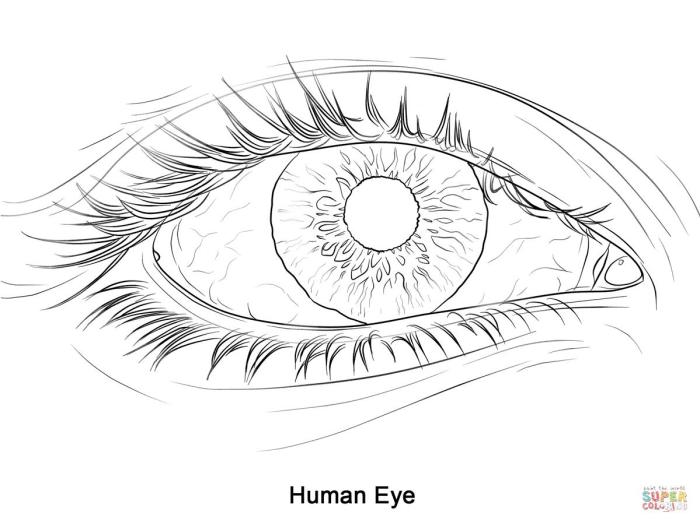 Coloring pages of anime eyes