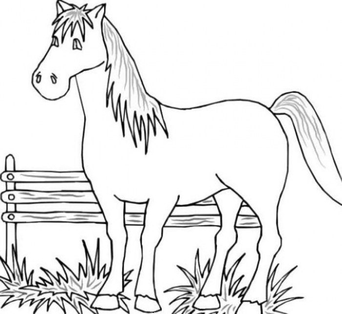 Farm animals coloring pages pdf free download