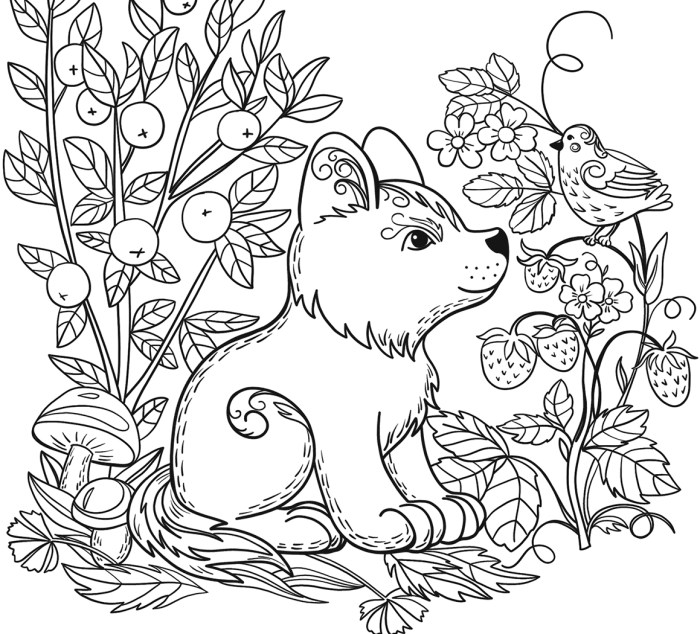 Images for coloring animals