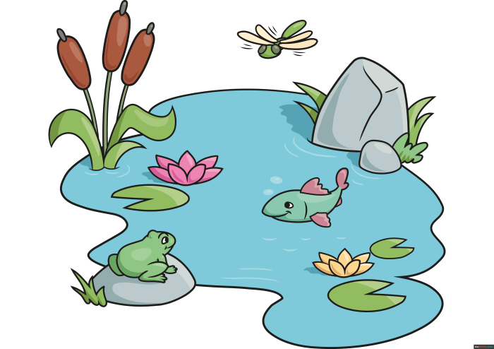 Freshwater easy simple ecosystem drawing