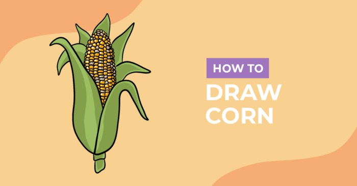 Drawing of cornstarch easy