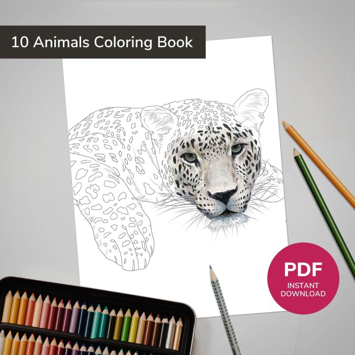 Abstract animals coloring pages