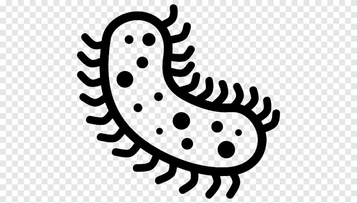 Bacteria partying drawing easy