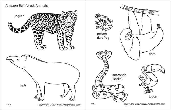 Coloring sheet jungle animals