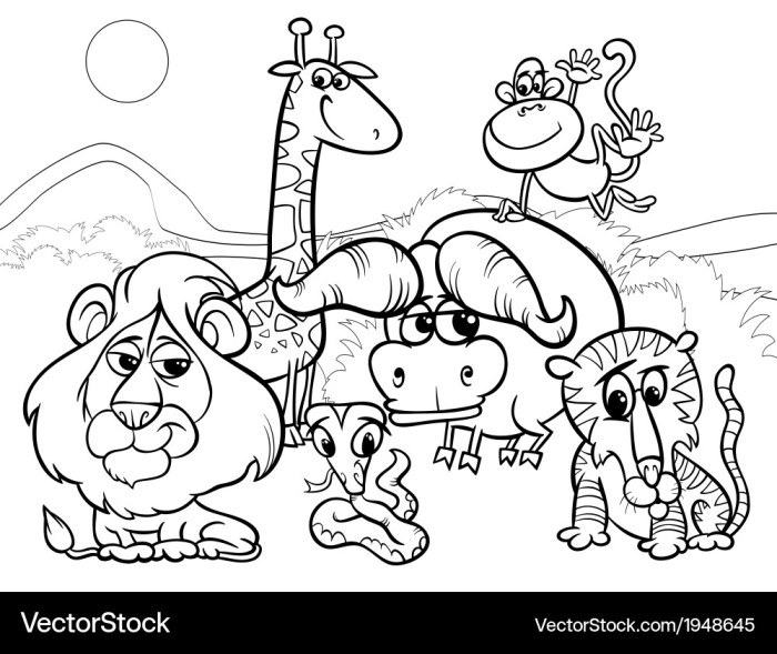 Animal cartoon picture coloring