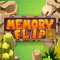 Memory Flip